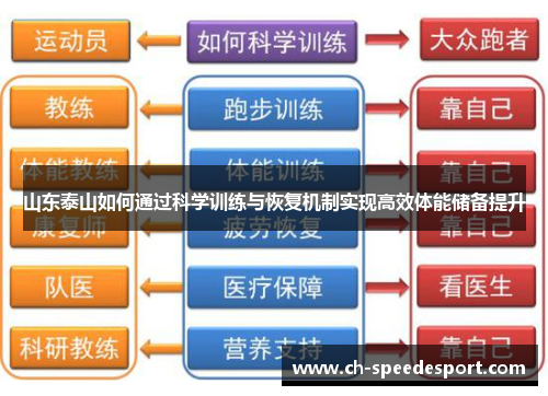山东泰山如何通过科学训练与恢复机制实现高效体能储备提升