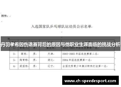 丹羽孝希因伤退赛背后的原因与他职业生涯面临的挑战分析