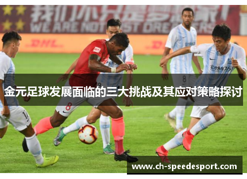 金元足球发展面临的三大挑战及其应对策略探讨